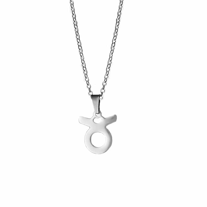 taurus-stainless-steel-necklace-hellaholics