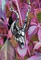silver-crescent-skull-pendant-restyle-hellaholics-nature