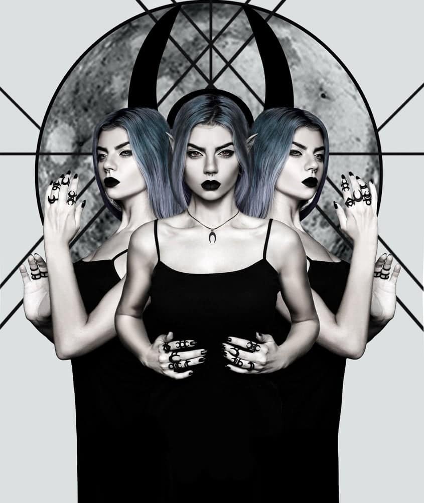 The Rogue & The Wolf