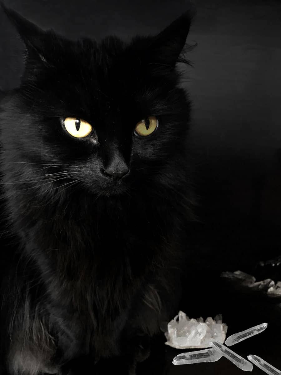 black-cat-alice-and-crystals