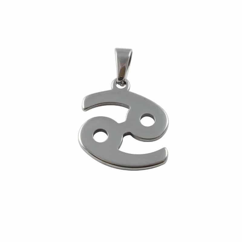 Stainless Steel Cancer Symbol Necklace